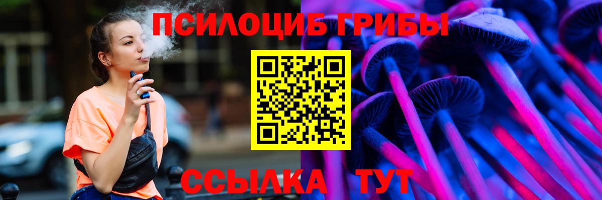 хочу   Галлюциногенные грибы MAGIC MUSHROOMS  Вход с VPN  Отрадное 
