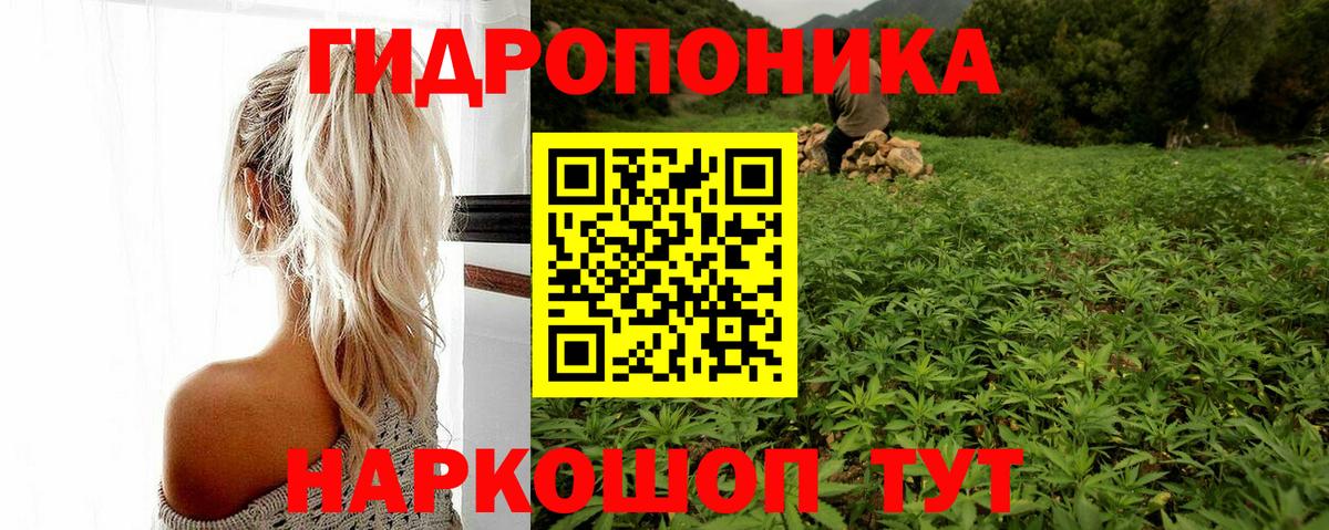 МАРИХУАНА SATIVA & INDICA Отрадное